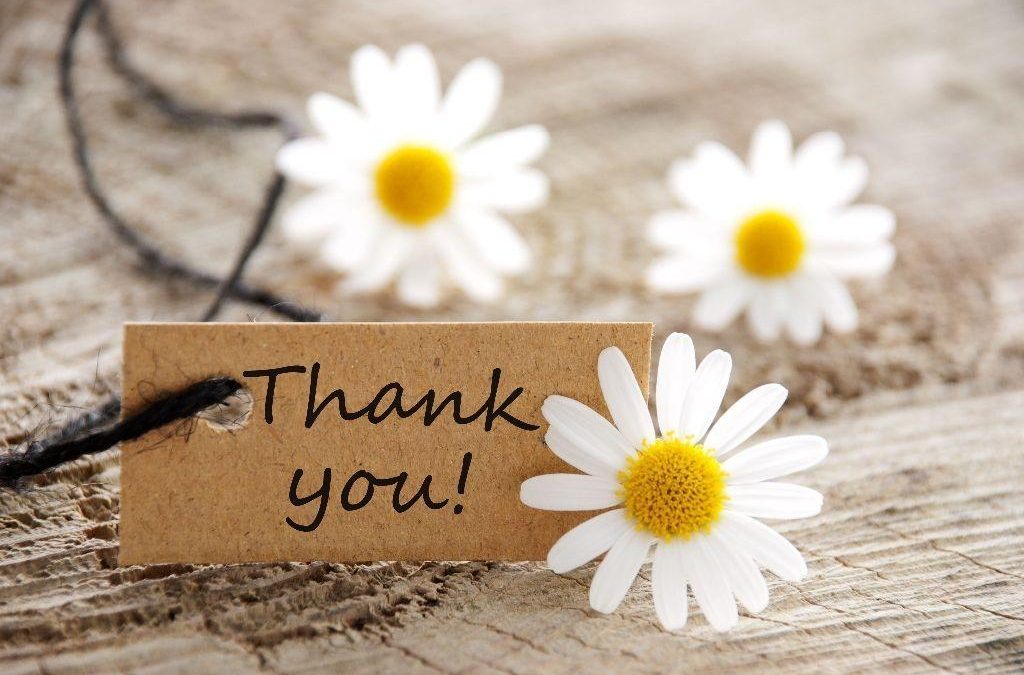 Thank you to our team