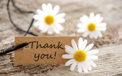 Thank you to our team